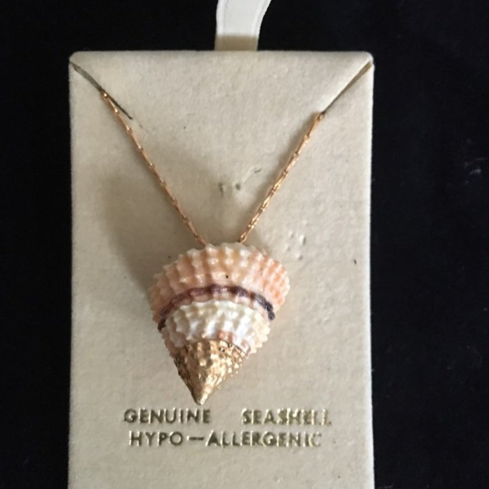 Shell necklace gold plated.